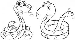 Snake Coloring Patterns