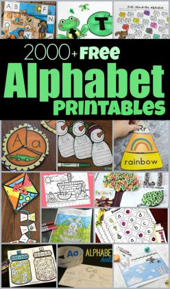 Make An Alphabet Mini Book