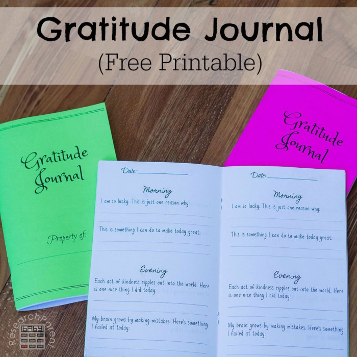 Gratitude Journal For Kids