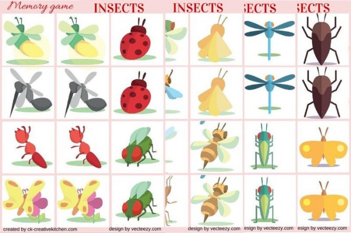 Insects