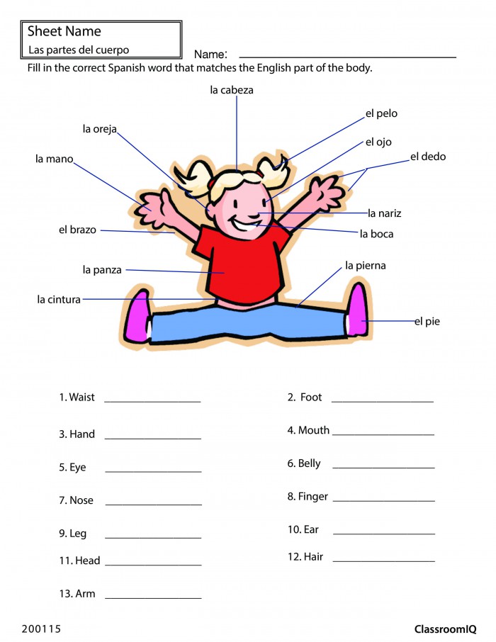 Body Parts In Spanish Worksheets 99Worksheets