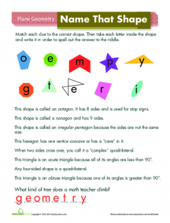 Shape Basics: Lines, Endpoints, And Angles