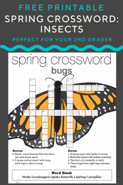 Spring Crossword Insects