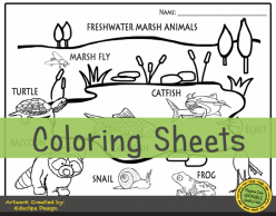 Color The Freshwater Habitat