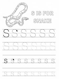 Letter S Tracing