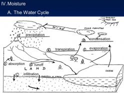 Water Cycle: Precipitation