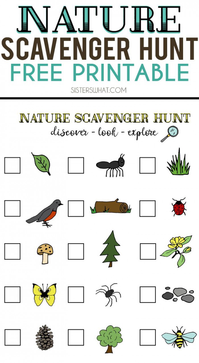 Nature Scavenger Hunt And Summer Adventures With Images