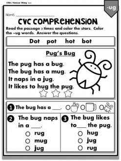 Bug Phonics