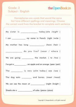 Homophones: Same Sounds