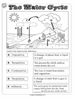 Water Cycle Matching