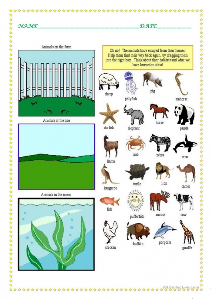 Where Do Animals Live Worksheets 99Worksheets