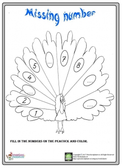 Color The Peacock!