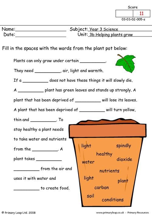 How Plants Grow Worksheets 99Worksheets