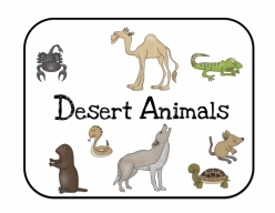 Desert Animals Activity Placemat