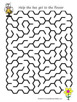 Insect Maze