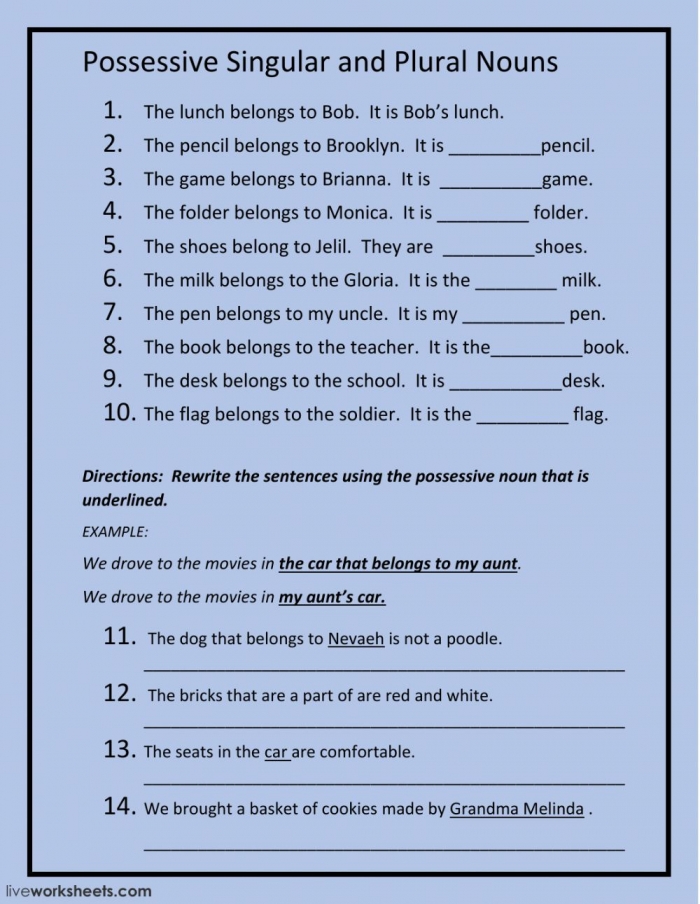 Make It Possessive Singular And Plural Possessives Worksheets 