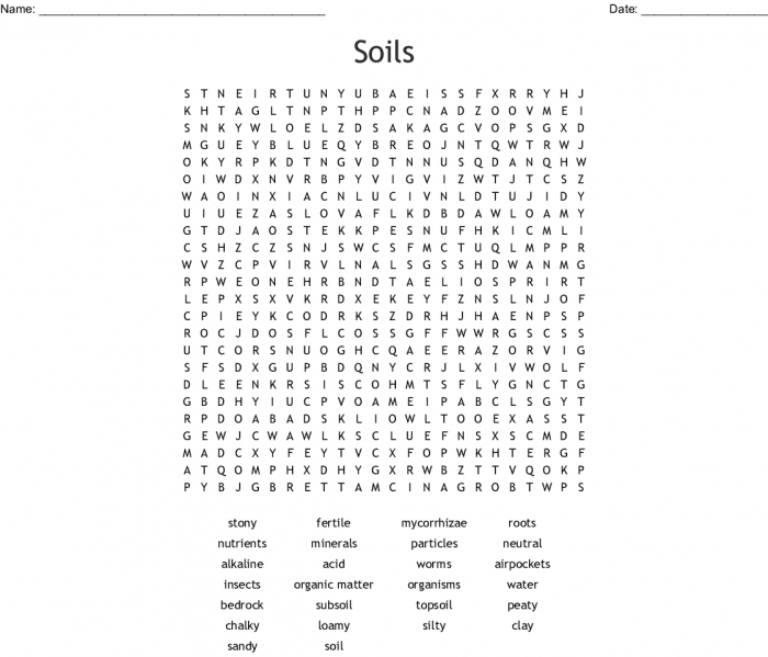 Soil Word Search Worksheets 99Worksheets