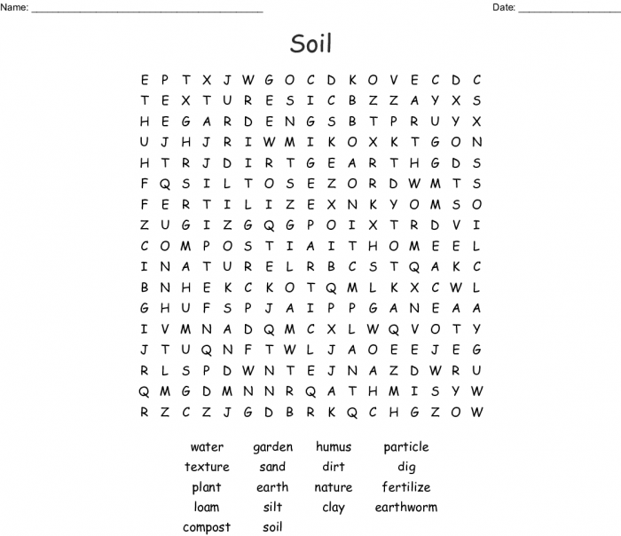 Soil Word Search Worksheets 99worksheets Gambaran