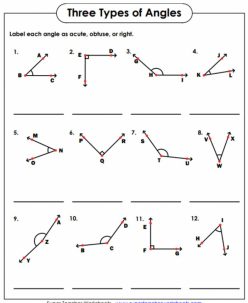 Types Of Angles